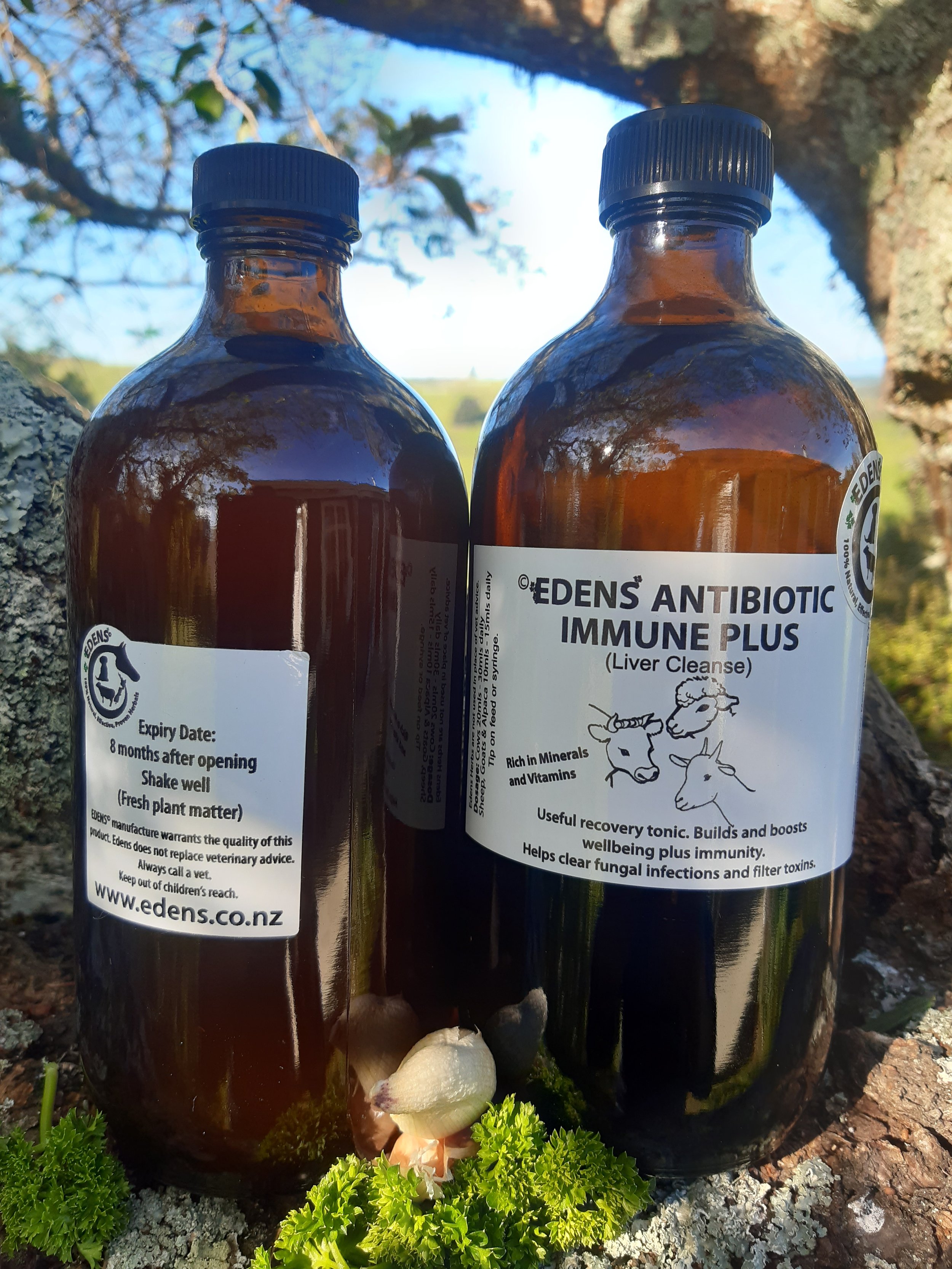 Edens Immune Booster Plus - Liver Cleanse 500ml