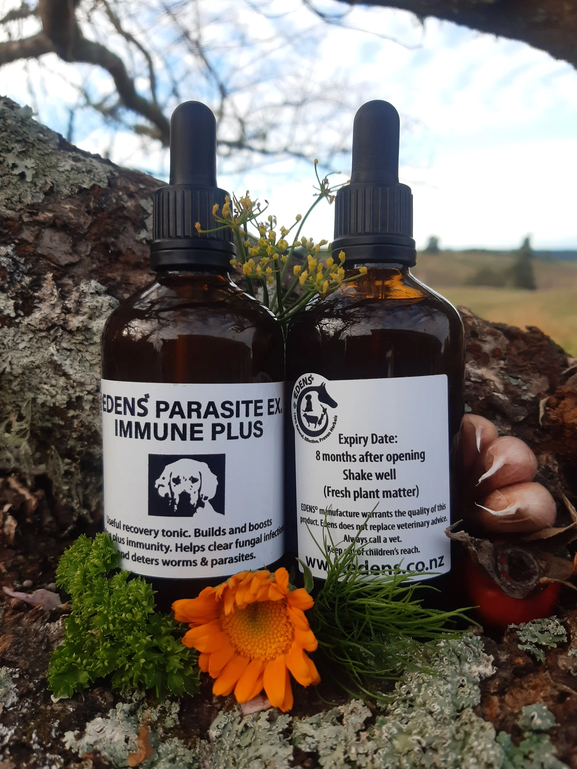 Edens Parasite Ex & Immune Plus for Dogs