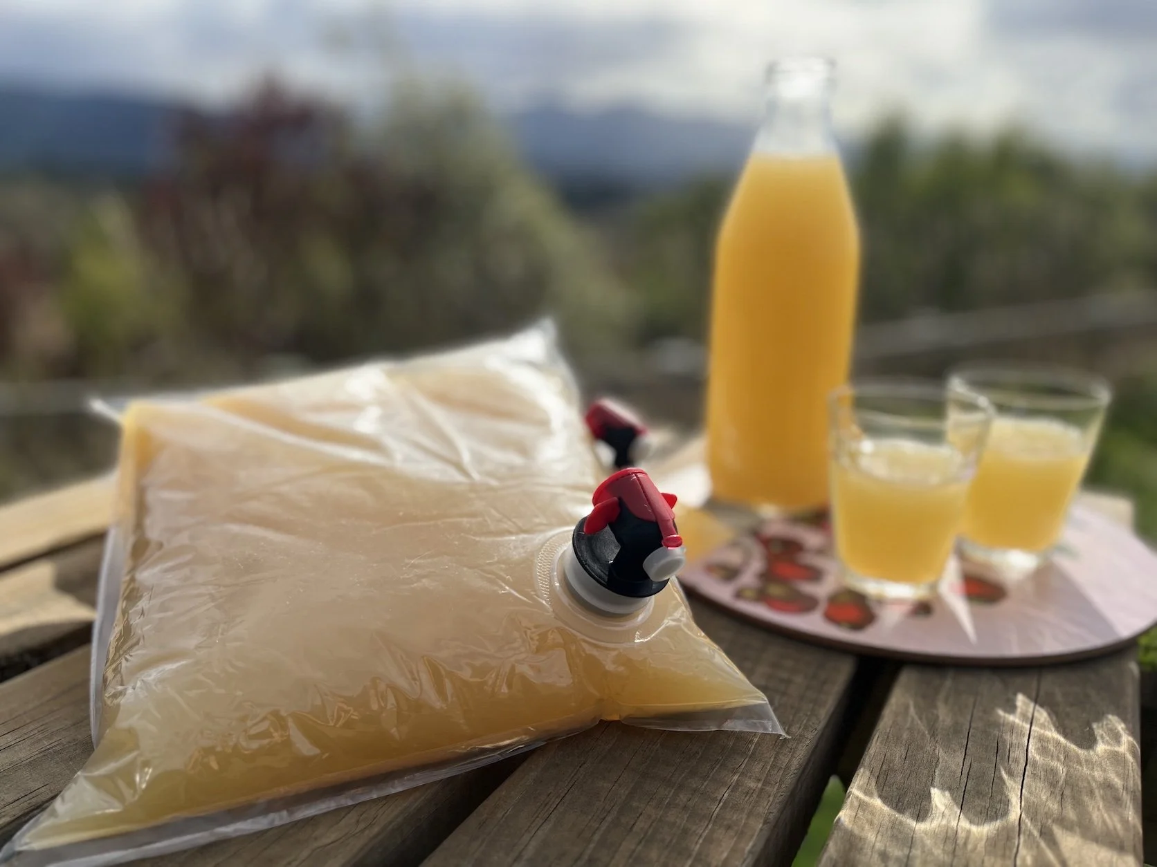 Juice bladder photo copy.jpg