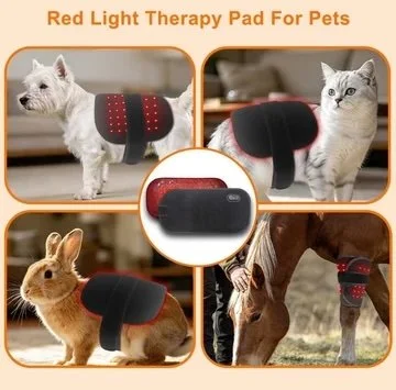 red-light-therapy-pad-for-dogs-horses-humans-5287702.jpeg