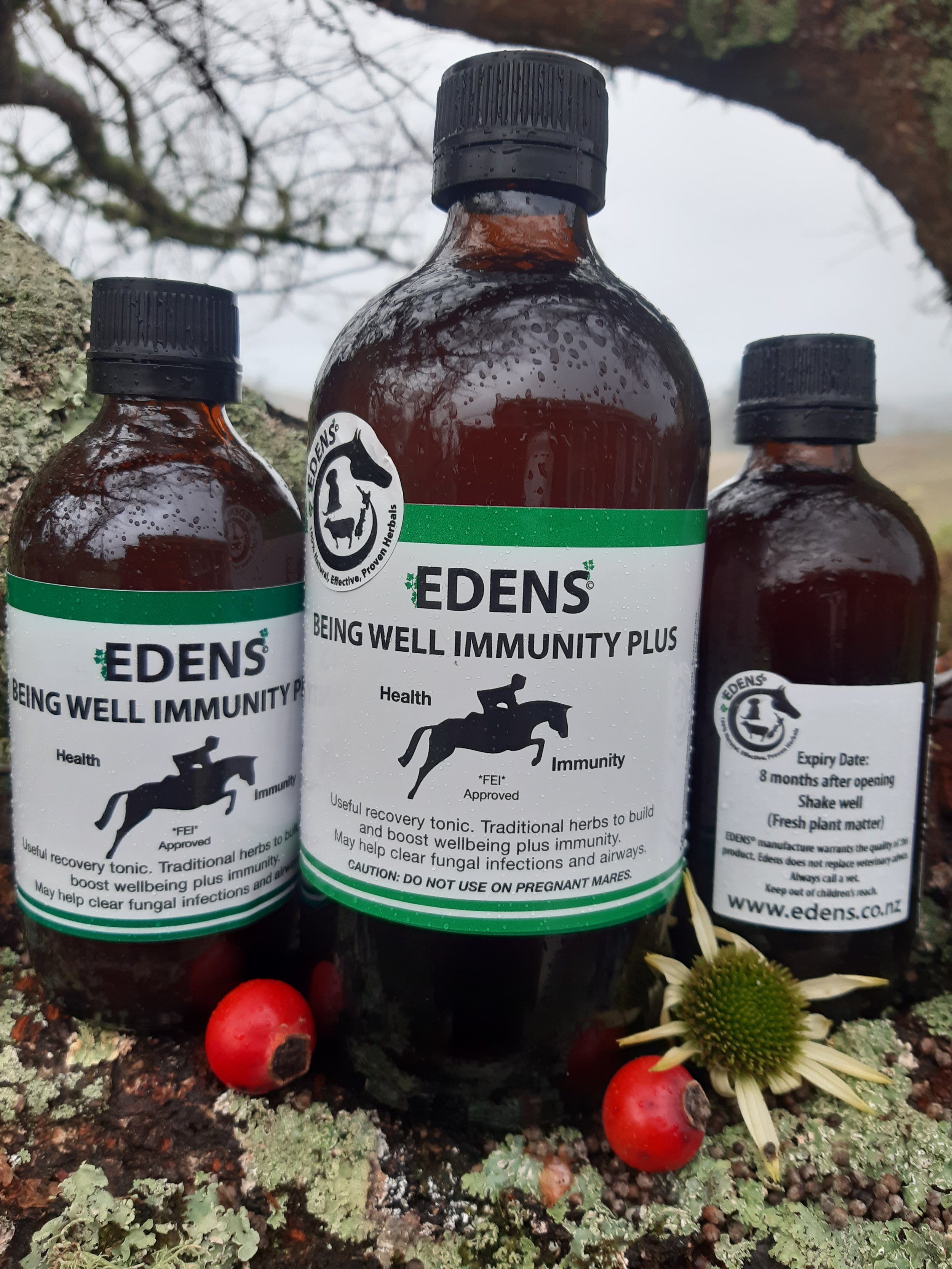 Edens Being Well Immunity Plus - Performance, Recovery, Rehydrate