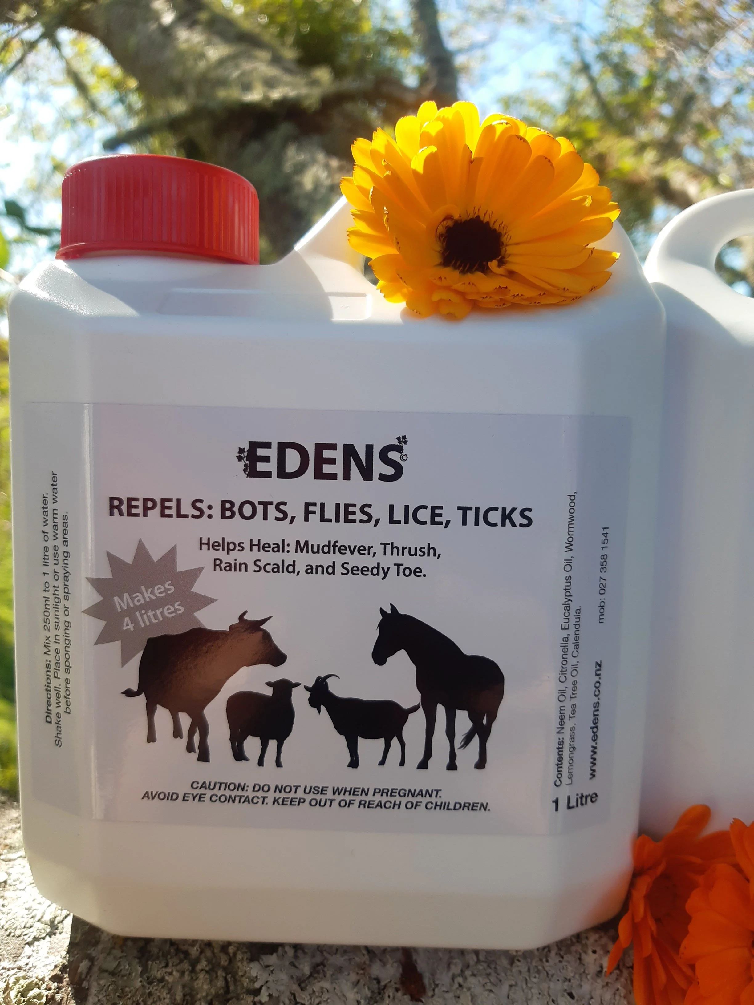 Edens Hoof Soak & Coat Wash CONCENTRATE