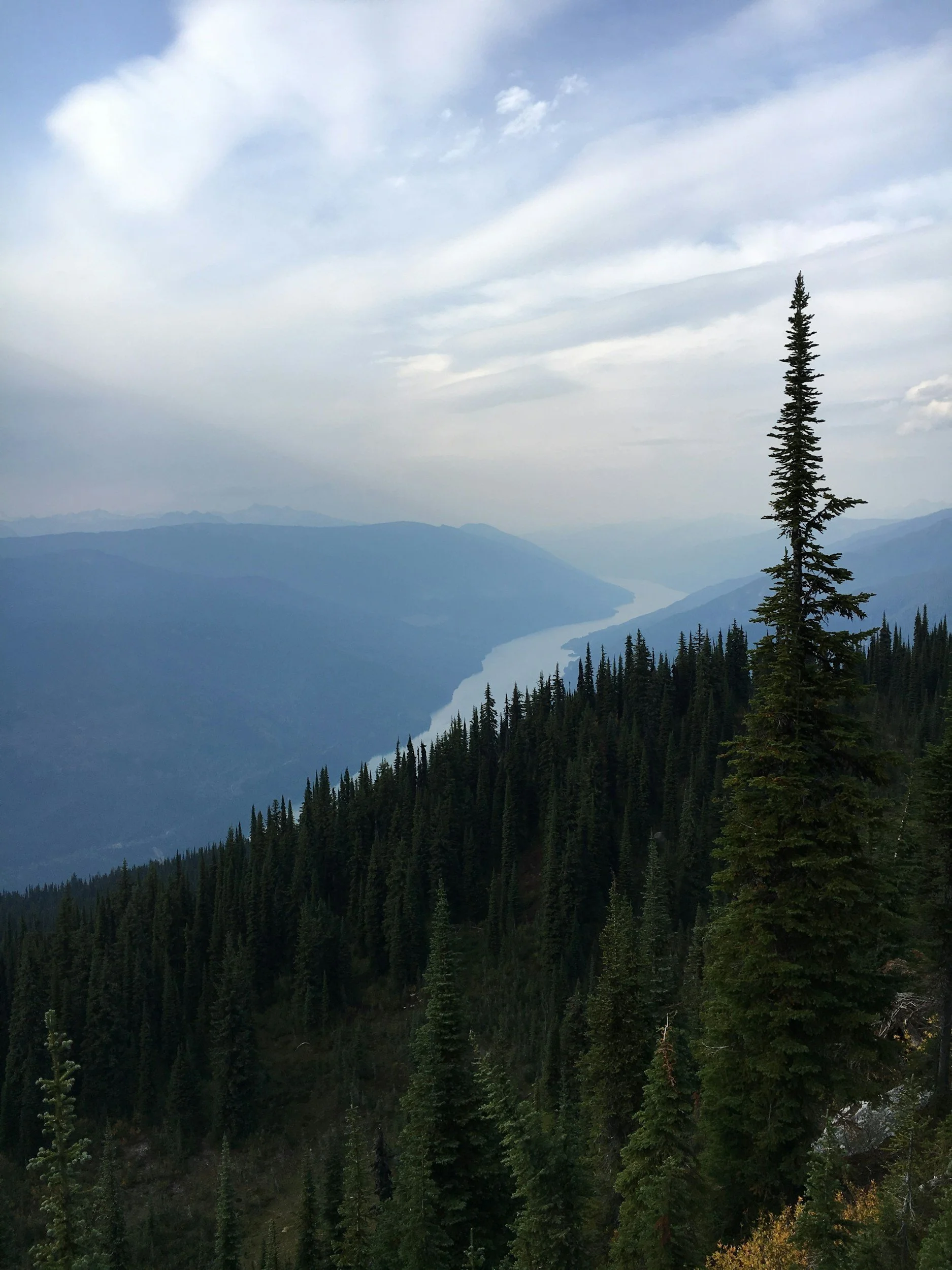 A scenic mountain landscape with a river flowing through a valley, dense pine forest on the slopes, and a partly cloudy sky.