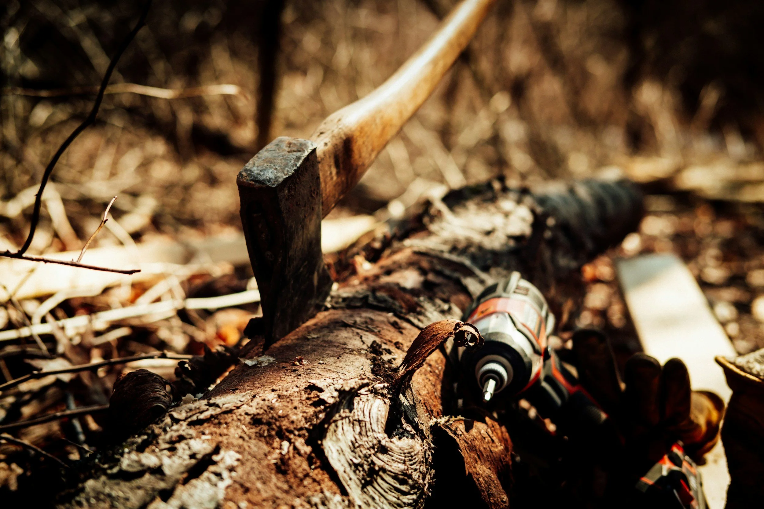Close-up of a fallen tree trunk with an axe embedded in it and a cordless drill resting on the wood, surrounded by forest debris.