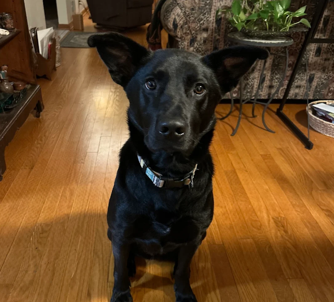 Screenshot 2025-11-14 2.18.40 PM.png