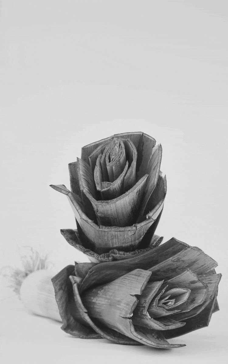 ezgif.com-optimize (6).gif