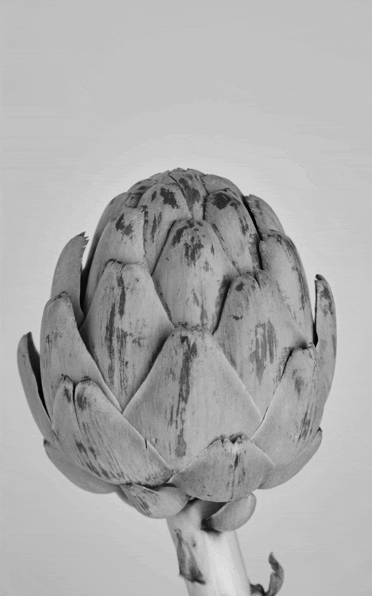 ezgif.com-optimize (12).gif