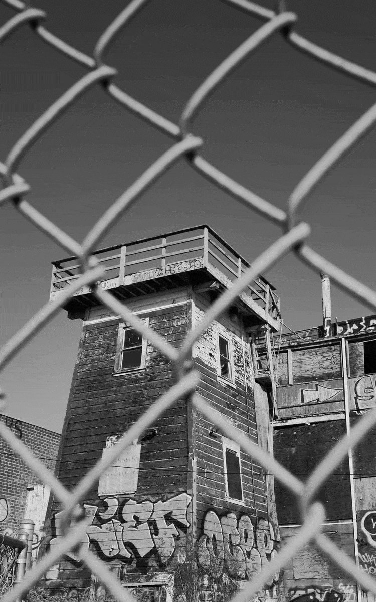 ezgif.com-optimize (1).gif