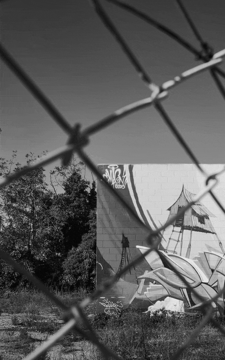 ezgif.com-optimize (3).gif