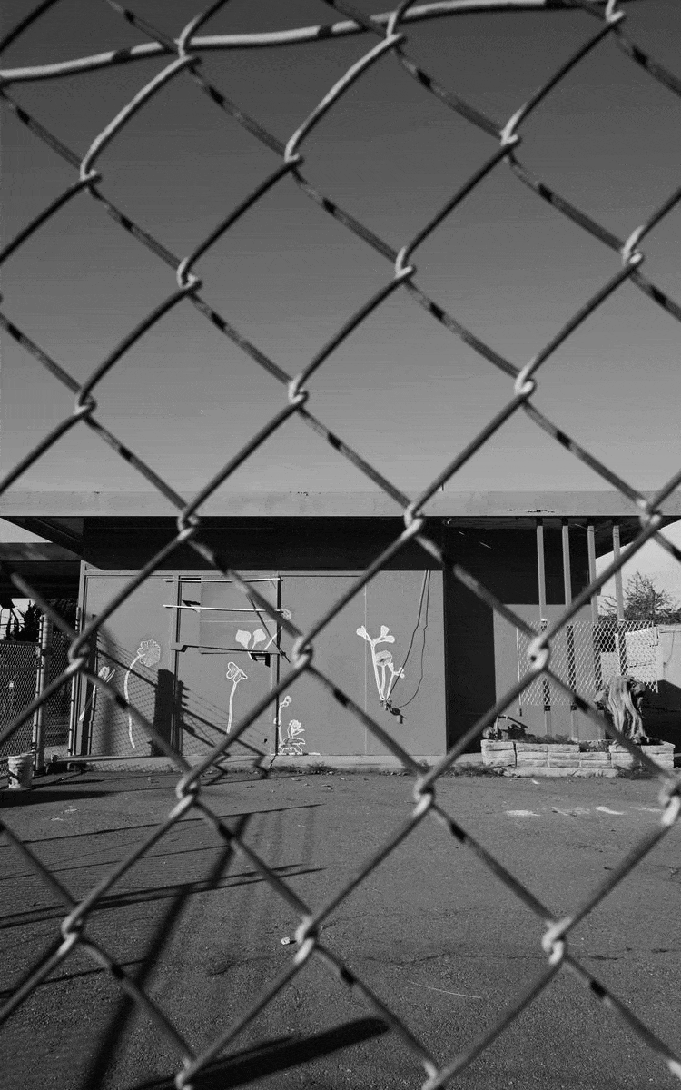 ezgif.com-optimize (2).gif