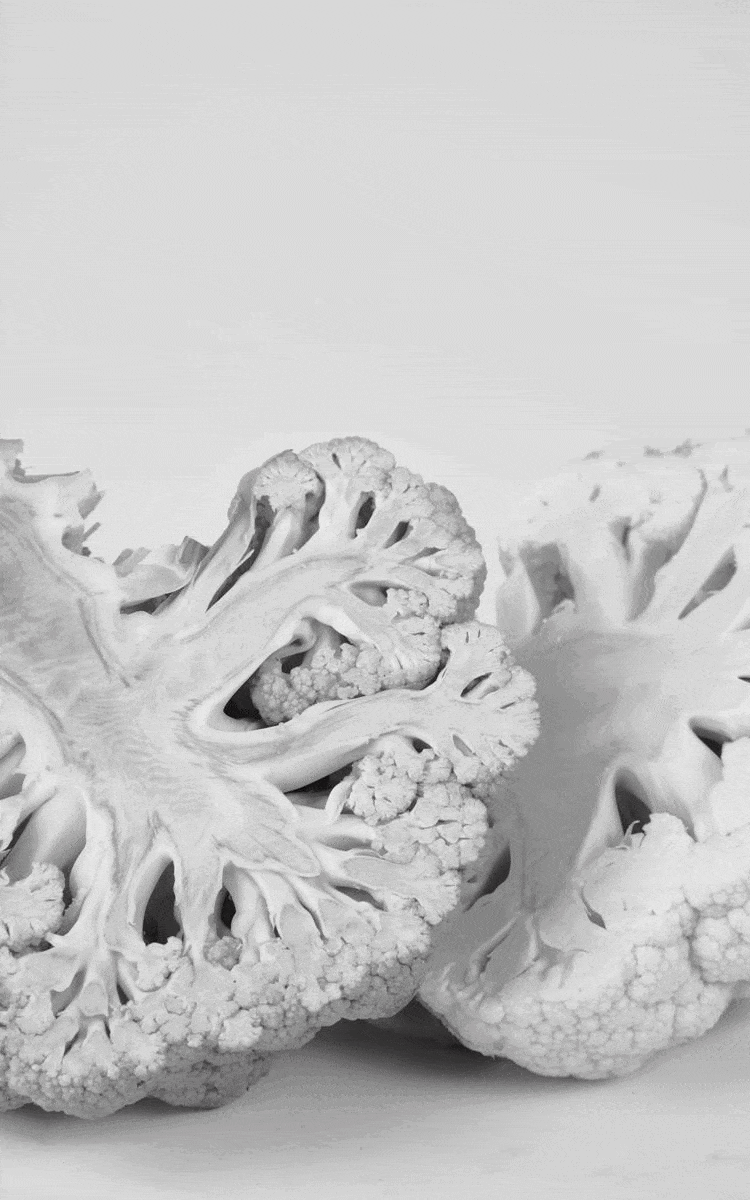 ezgif.com-optimize (9).gif