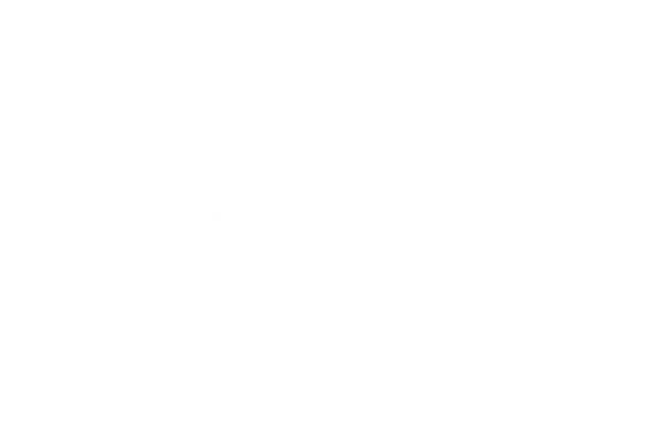 Kaylora Holistic Wellness &amp; Recovery LLC
