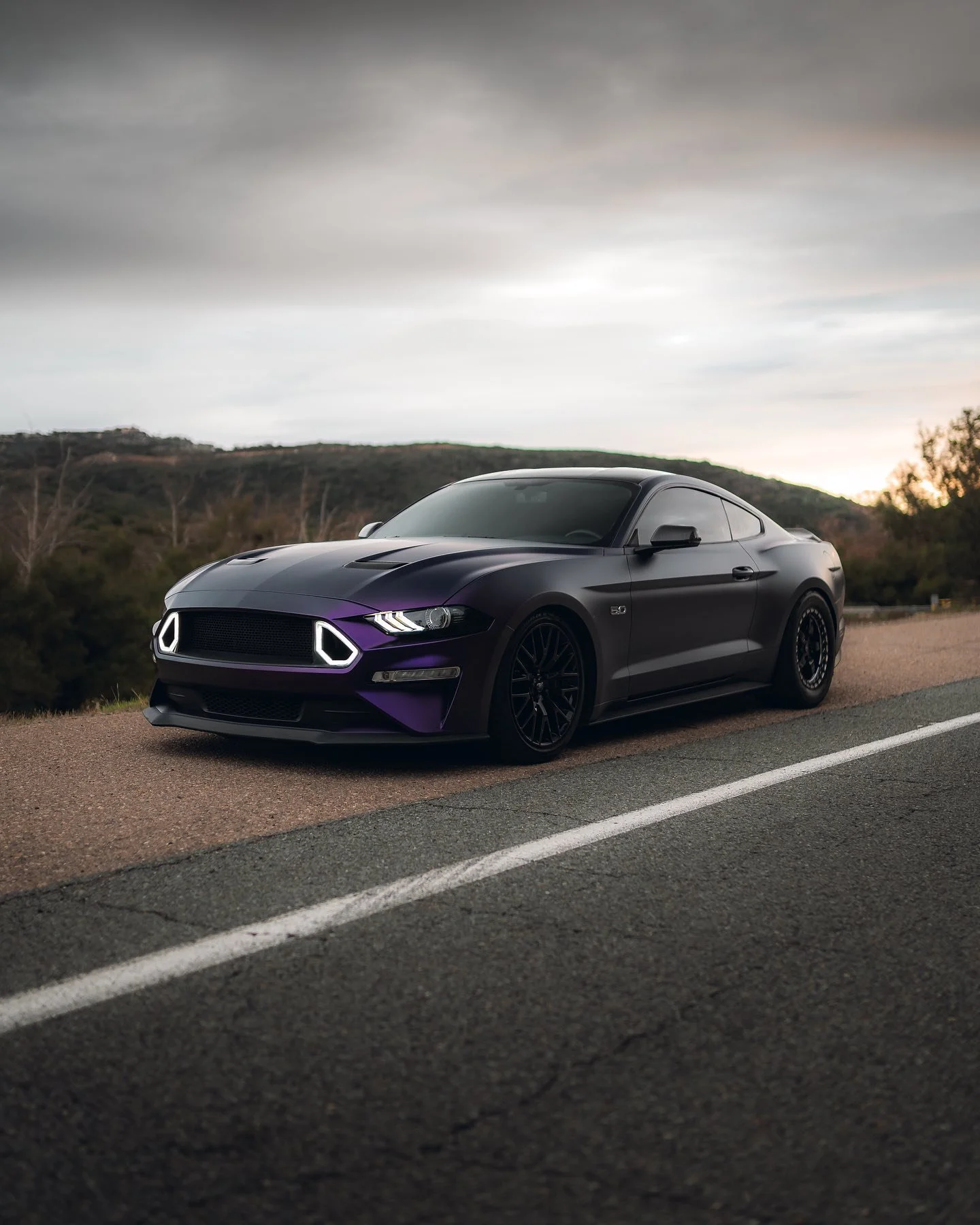 Illusion

@brutal5.0

#fordmustang #mustang #ford #mustanggt #fordracing #americanmuscle #fordperformance #mustangfanclub #v8 #s550 #musclecar #mustangsofinstagram #shelby #cars #carporn #carsofinstagram #ecoboost #fordgt #focusst #gt #car #mustang_f