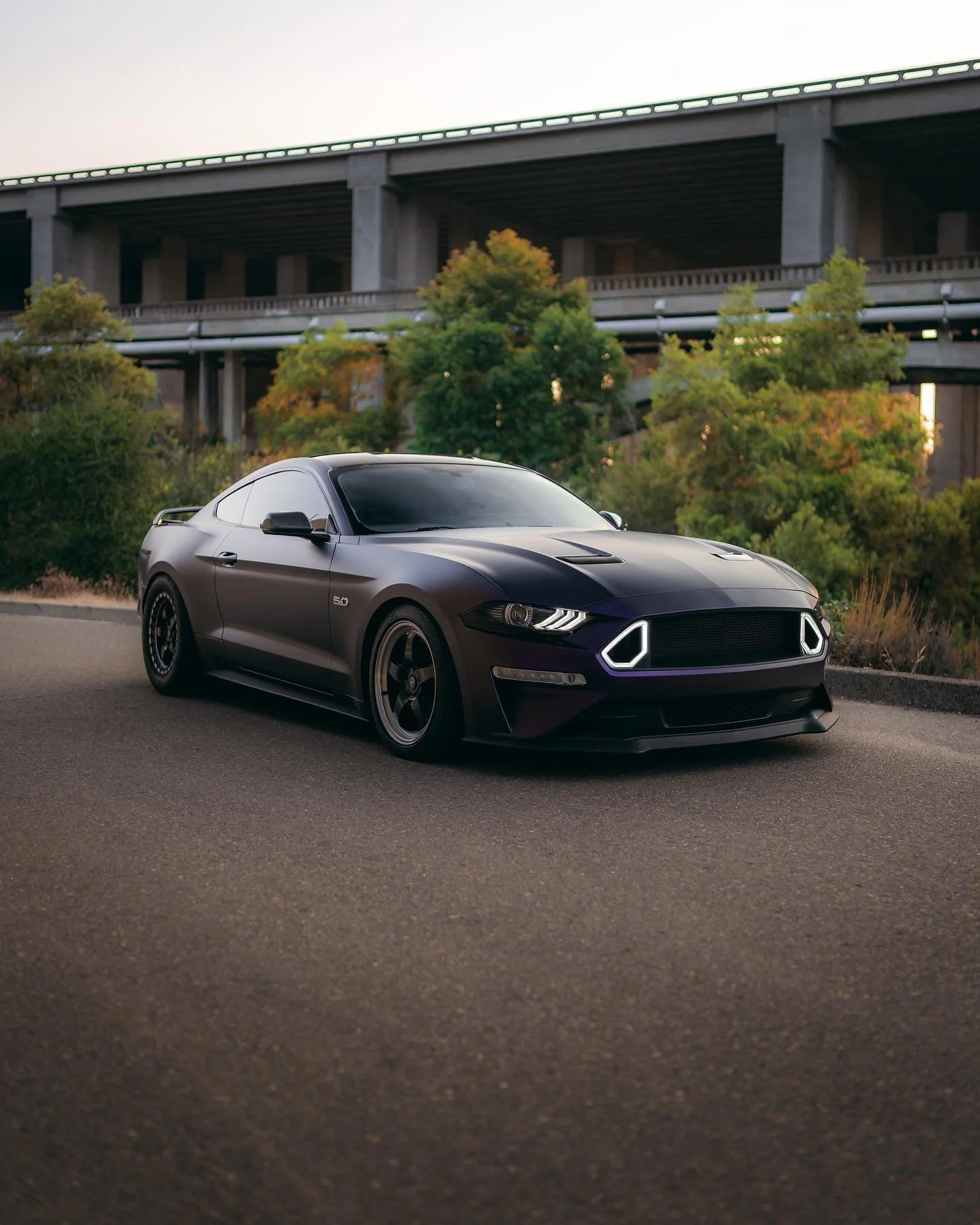 @brutal5.0 and his new matte purple / black iridescent wrap

@brutal5.0

#fordmustang #mustang #ford #mustanggt #fordracing #americanmuscle #fordperformance #mustangfanclub #v8 #s550 #musclecar #mustangsofinstagram #shelby #cars #carporn #carsofinsta