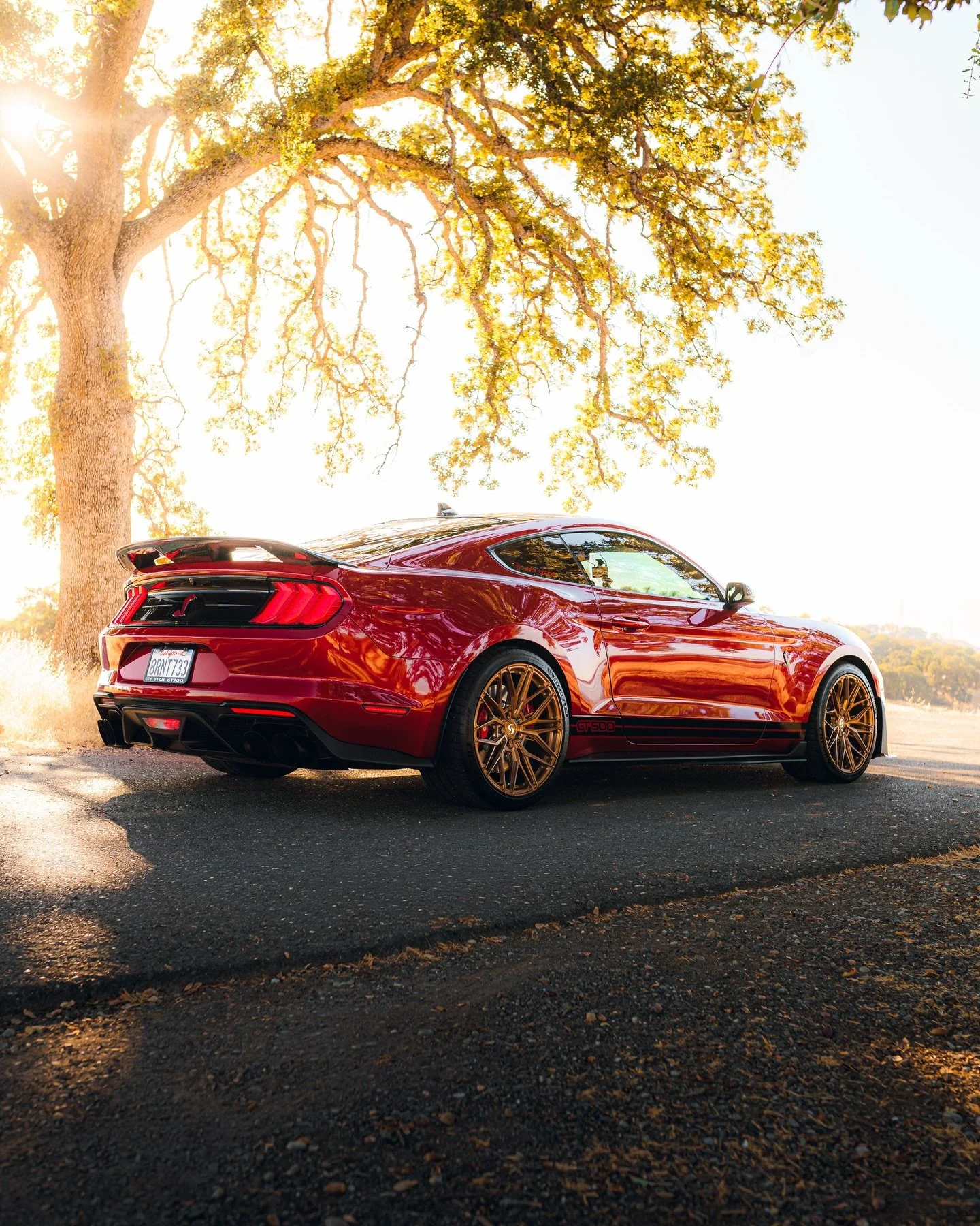 Four digits.

@1_silent_t3sla

#ford #shelby #gt500 #1000hp #fordperformance