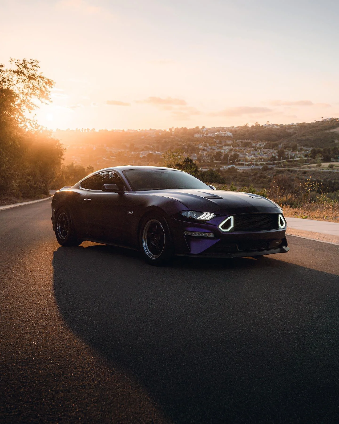 Purple is an underrated color

@brutal5.0

#ford #mustang #gt #mustanggt #fordperformance