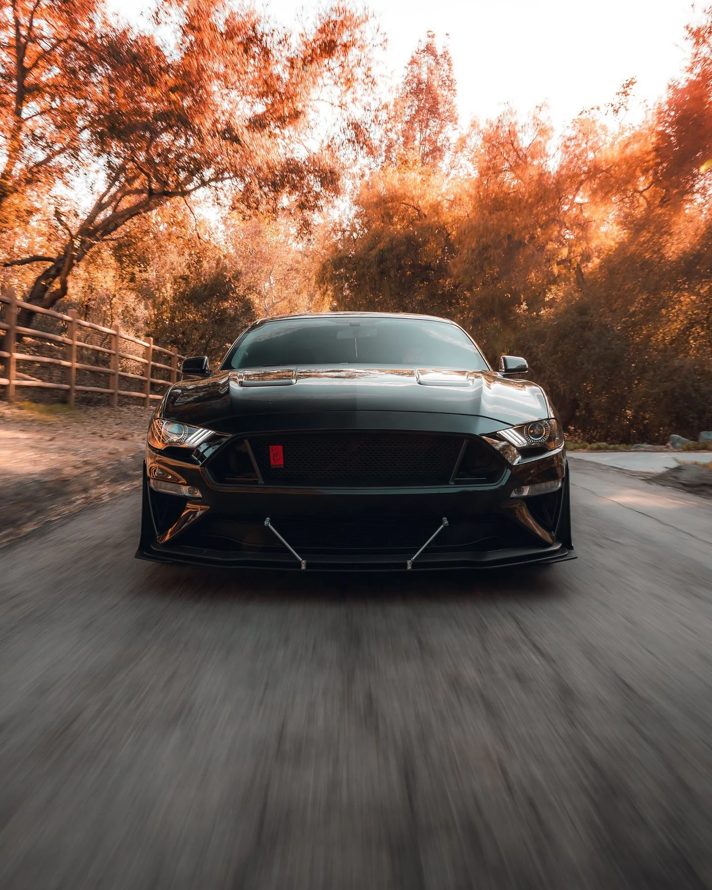 Easy does it

@zackmagrath

#fordmustang #mustang #ford #mustanggt #fordracing #americanmuscle #fordperformance #mustangfanclub #v8 #s550 #musclecar #mustangsofinstagram #shelby #cars #carporn #carsofinstagram #ecoboost #fordgt #focusst #gt #car #mus