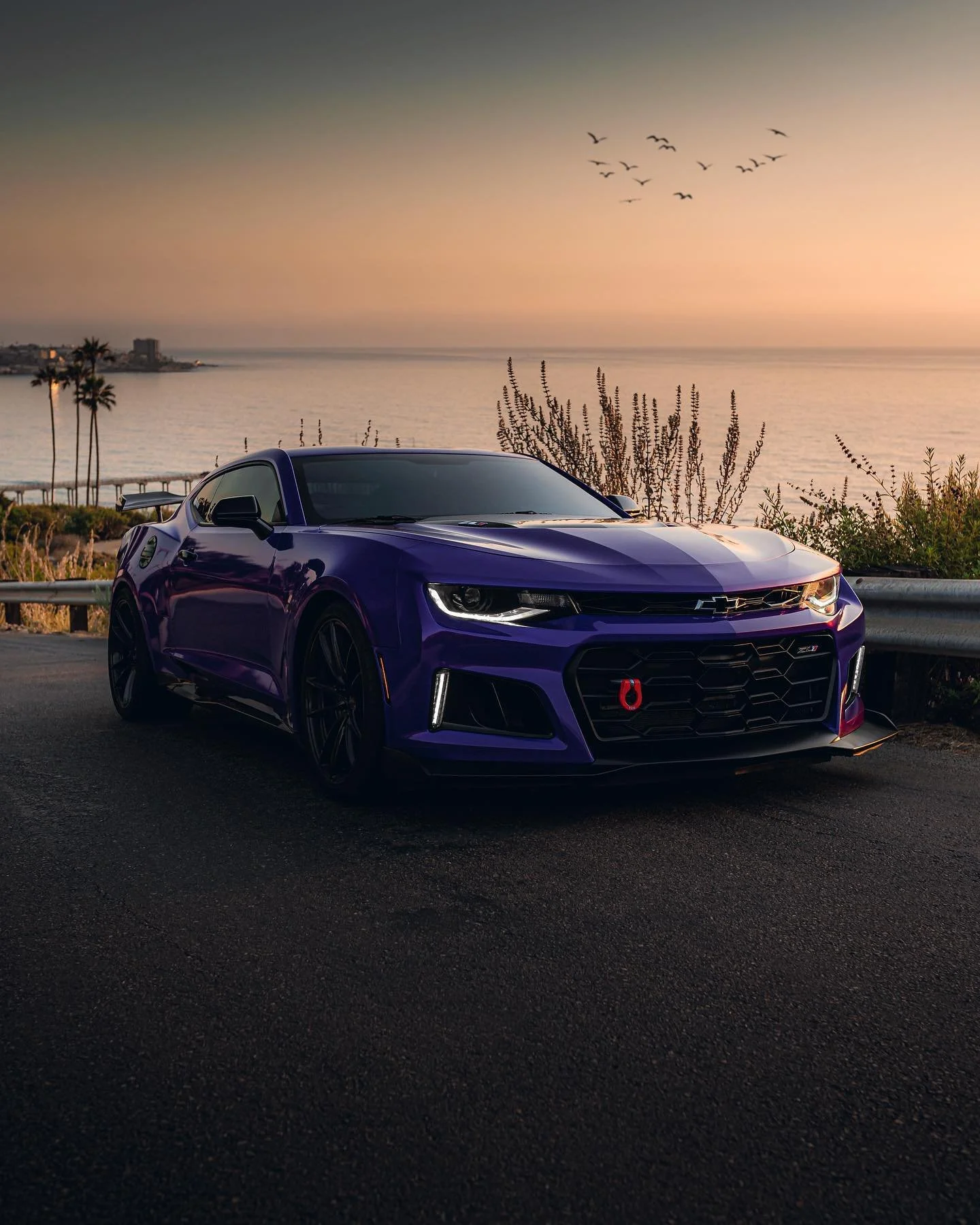 California sunsets

@zl1babe

#chevy #camaro #zl1 #camarozl1 #ladydriven