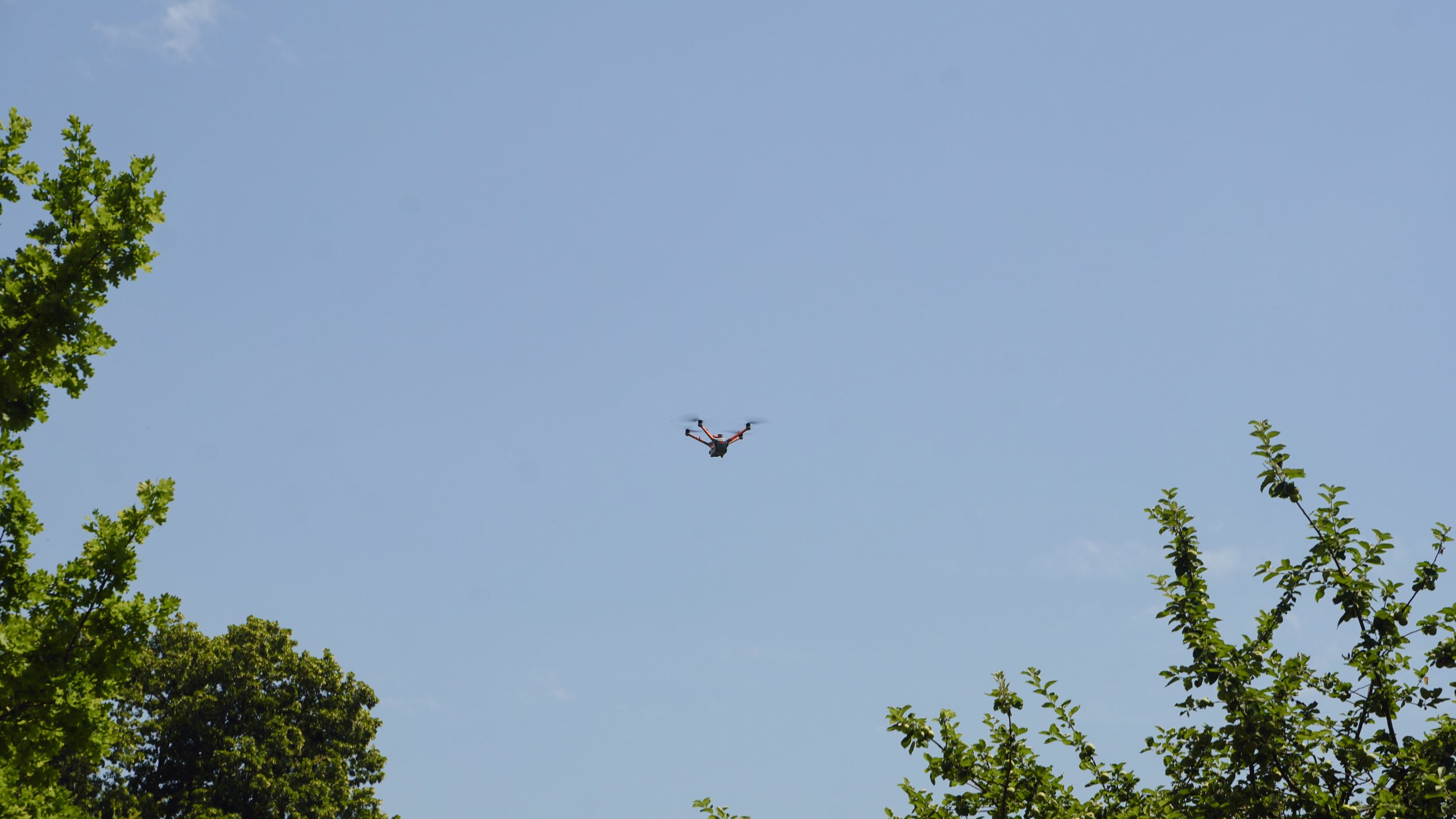 DSC03428.JPG