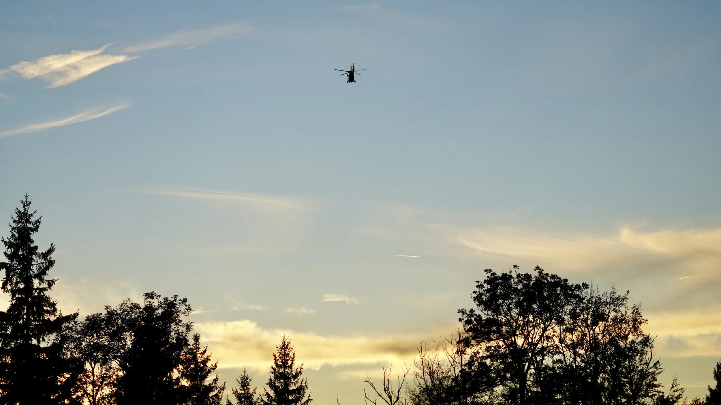 DSC05216.JPG