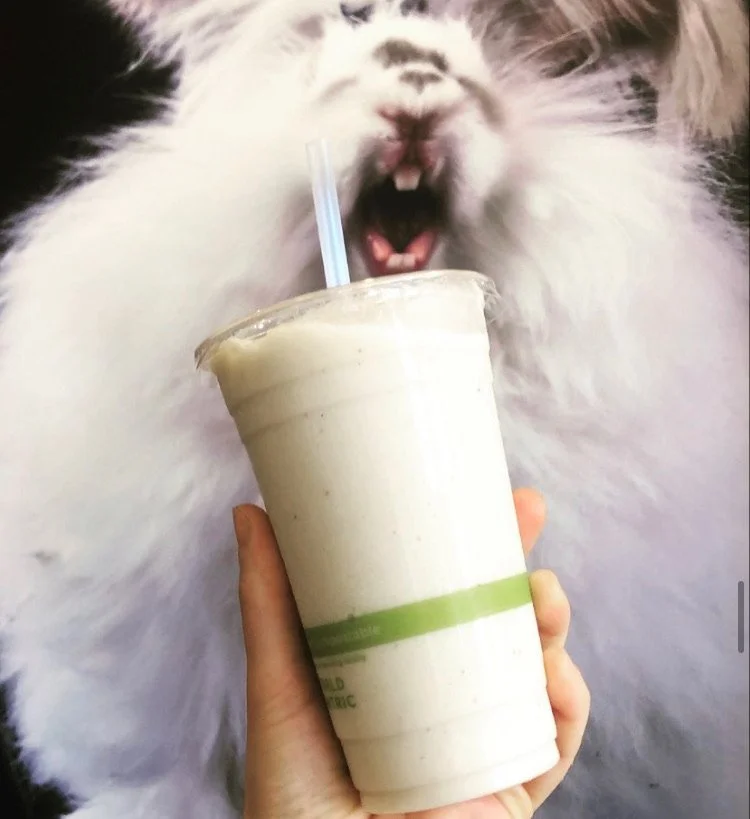 Close-up of a hand holding a large smoothie in a clear cup with a straw, in front of a furry cat with open mouth and sharp teeth, on a dark background.