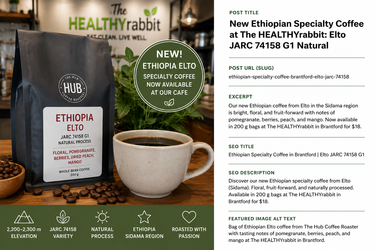 New Ethiopian Specialty Coffee in Brantford: Why We Chose Elto from Sidama