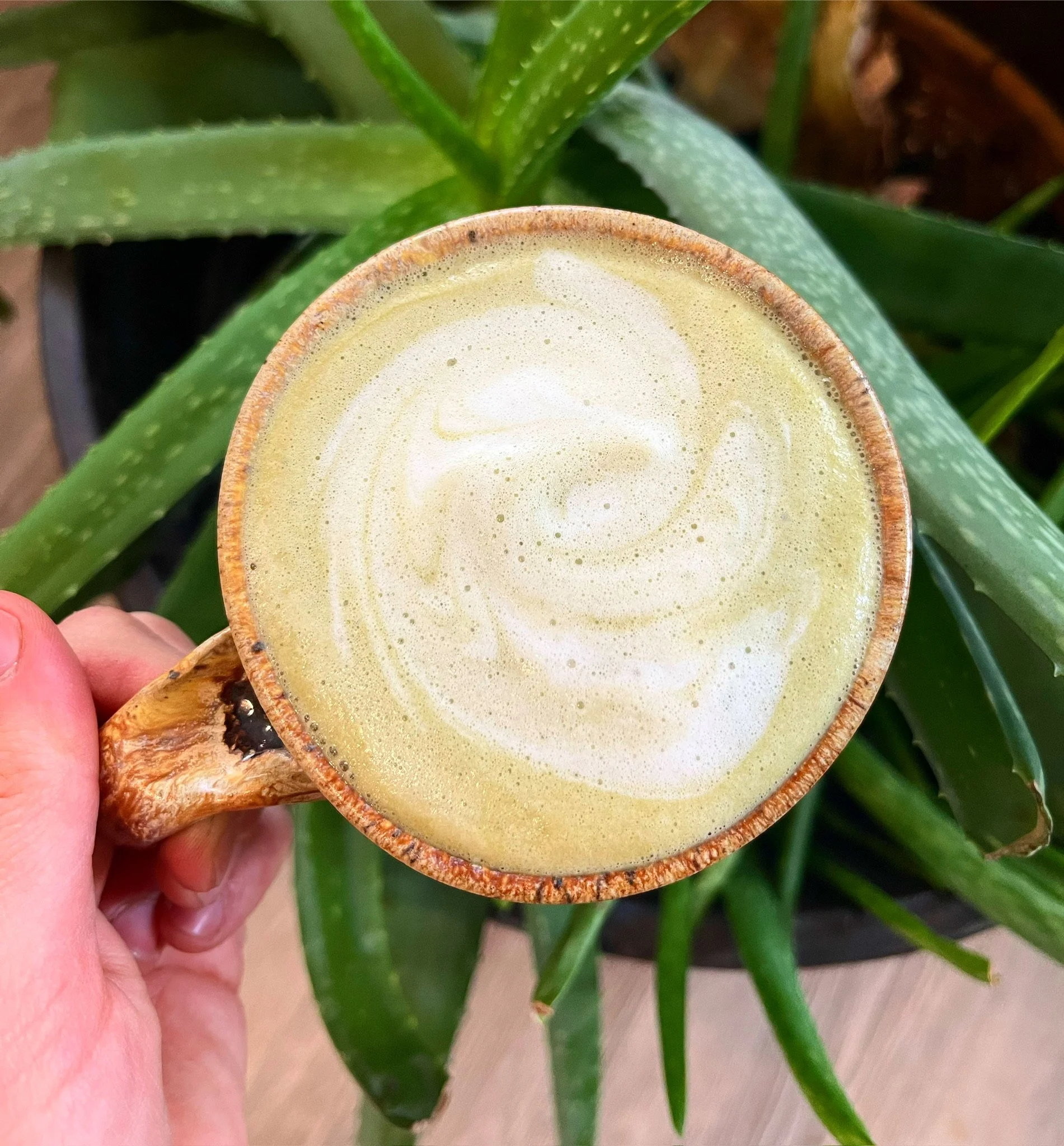 A close-up of a hand holding a ceramic mug filled with a frothy, blended beverage in front of green aloe vera plants.