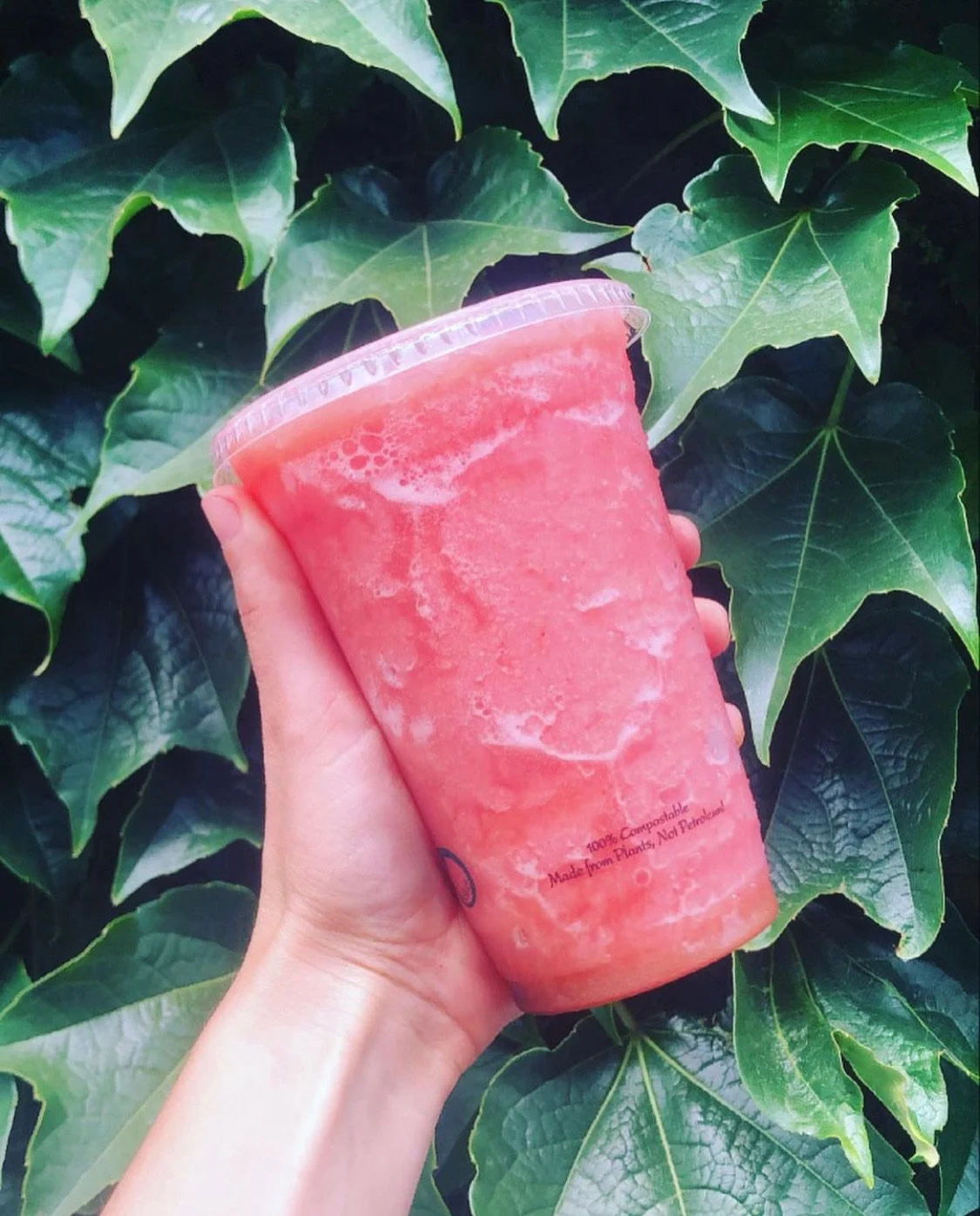 A hand holding a pink smoothie in a clear plastic cup with a green leafy background.