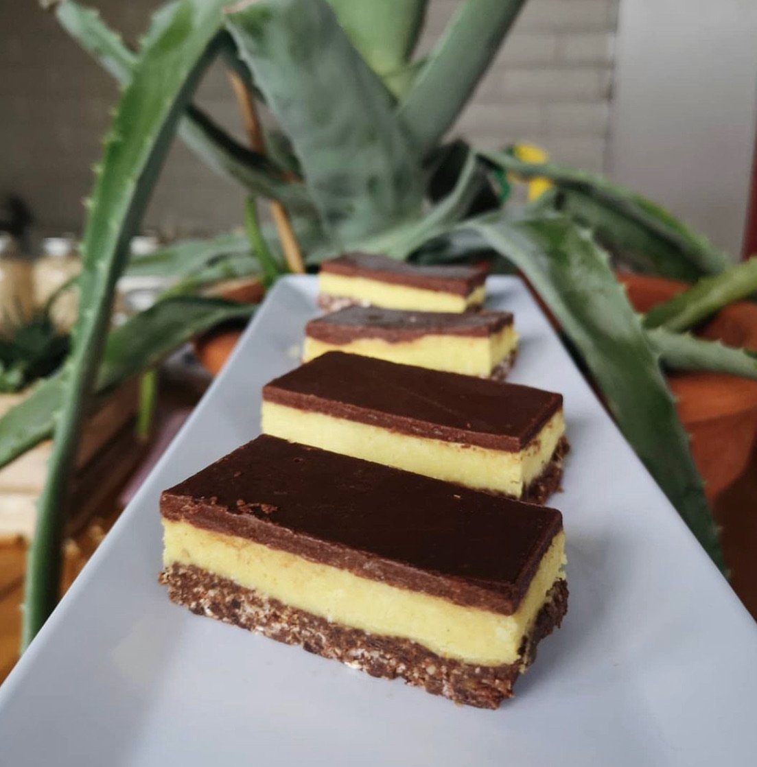 Four rectangular layered desserts with chocolate top, vanilla middle, and a chocolate base on a white rectangular plate, surrounded by green leafy plants.