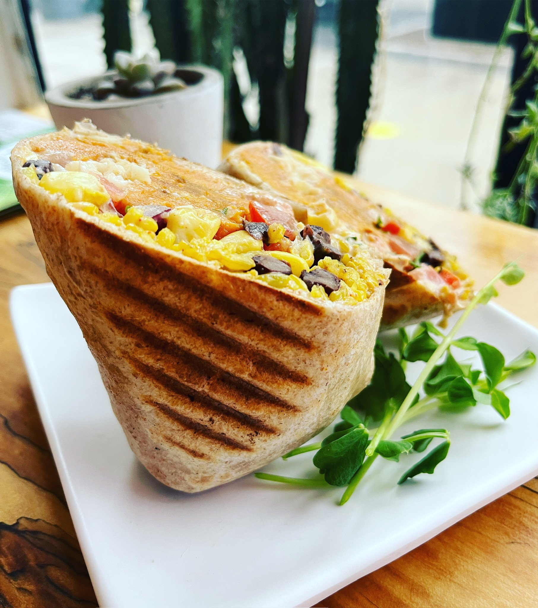 Grilled sandwich with melted cheese, vegetables, and black beans on a white plate, garnished with green sprouts, with a potted plant and window in the background.