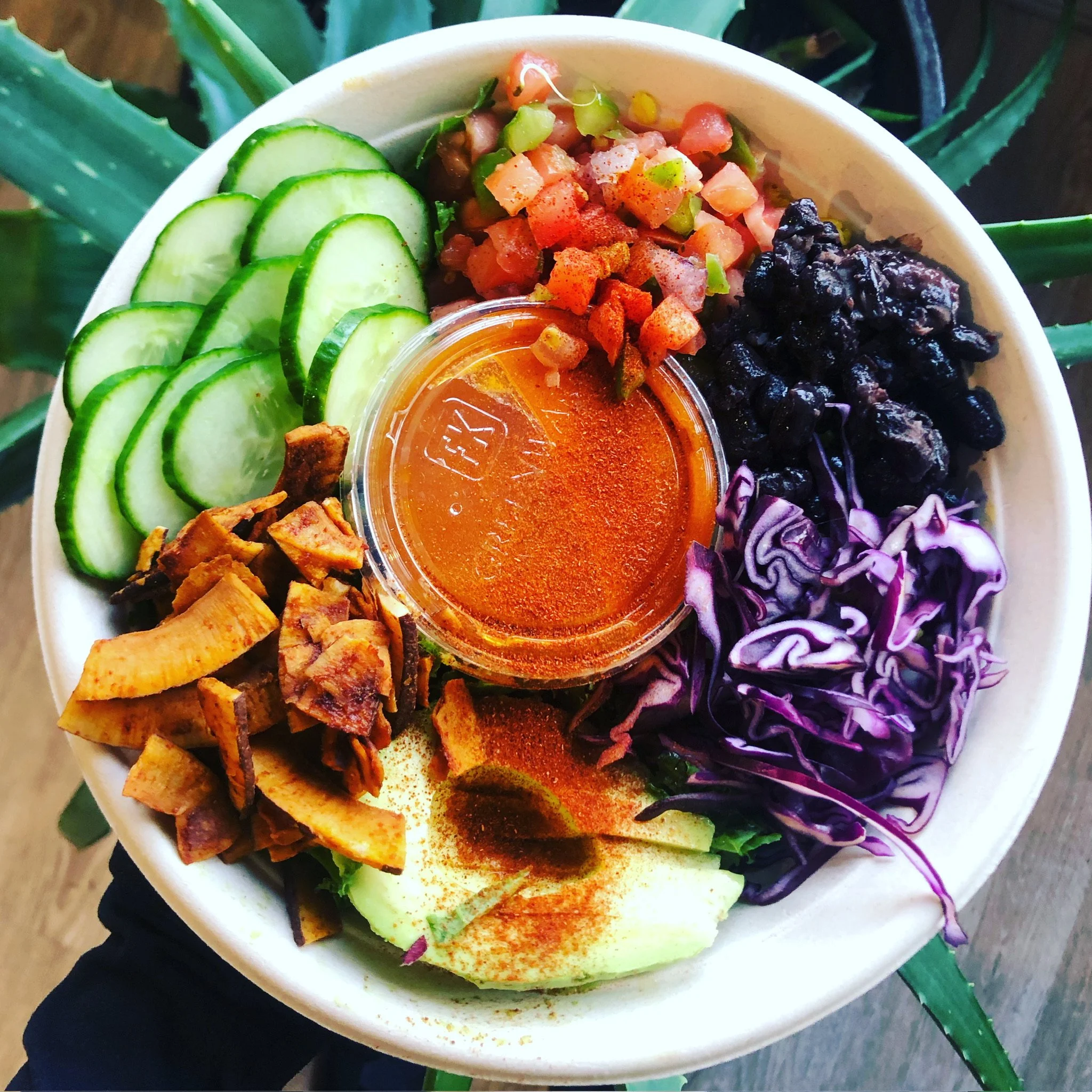 A bowl containing sliced cucumbers, diced tomatoes with green onions, black beans, shredded purple cabbage, sliced avocado with paprika, chopped roasted plantains, and a small cup of orange sauce in the center.