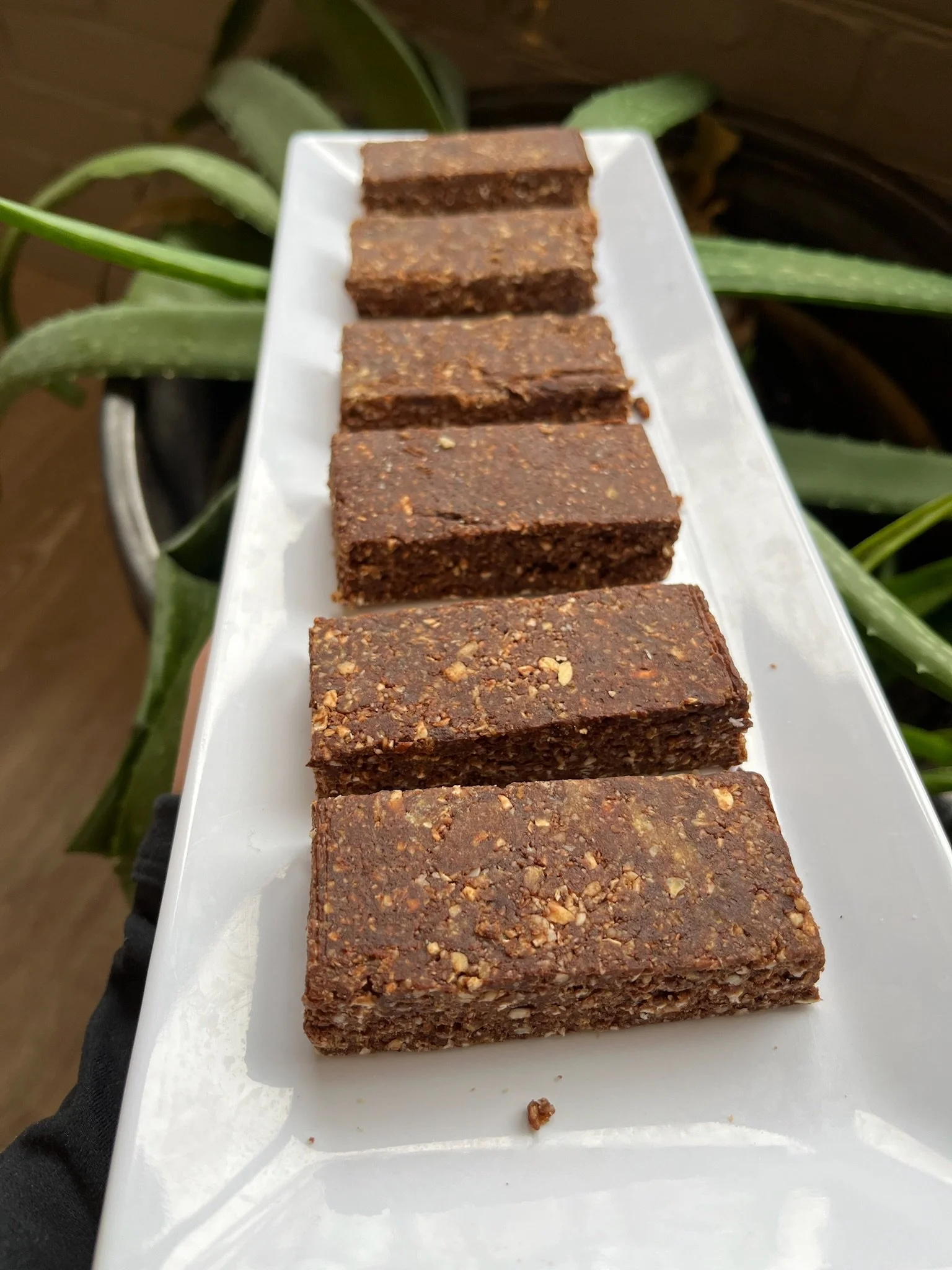 A white rectangular plate holding seven rectangular pieces of nut-based energy bars, with a green plant in the background.