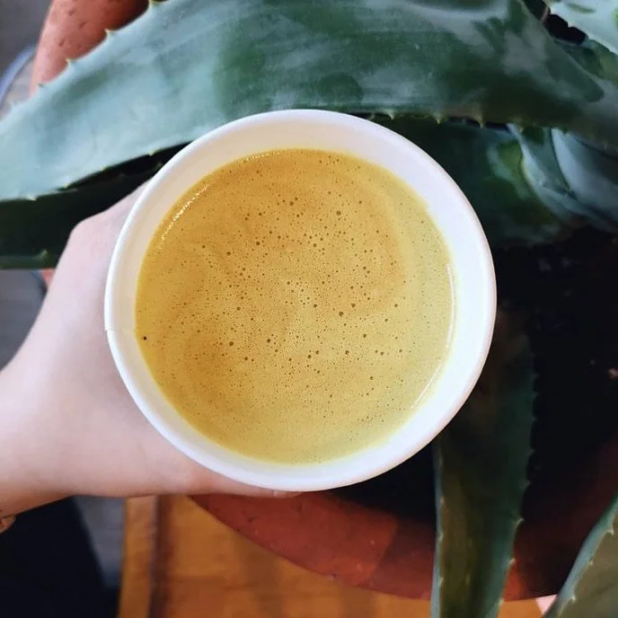 A person holding a white cup of frothy, yellow turmeric latte or tea, with a large green aloe vera leaf and a wooden surface in the background.
