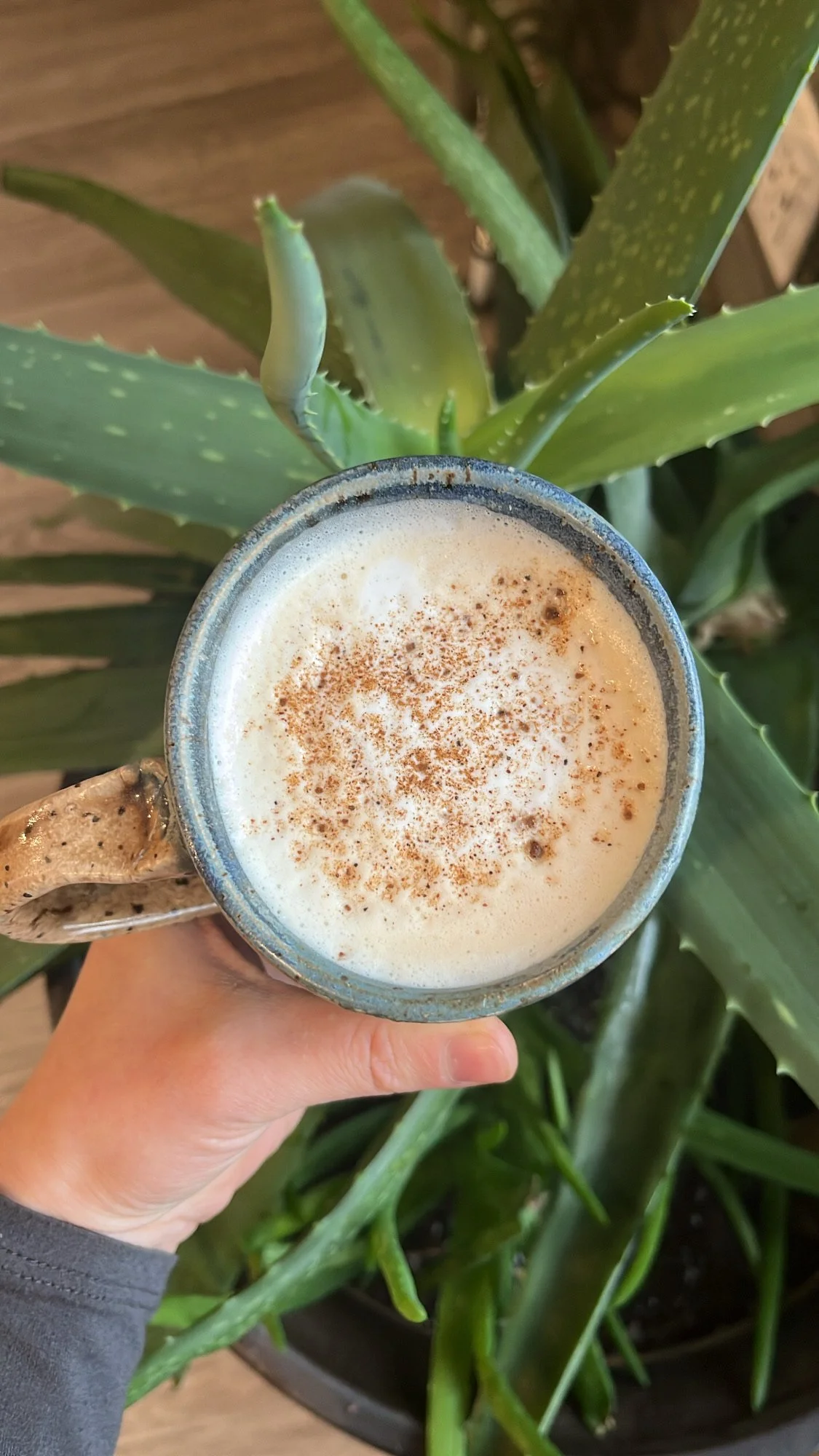 A hand holding a coffee mug with a frothy drink topped with cinnamon, in front of a large green aloe vera plant.
