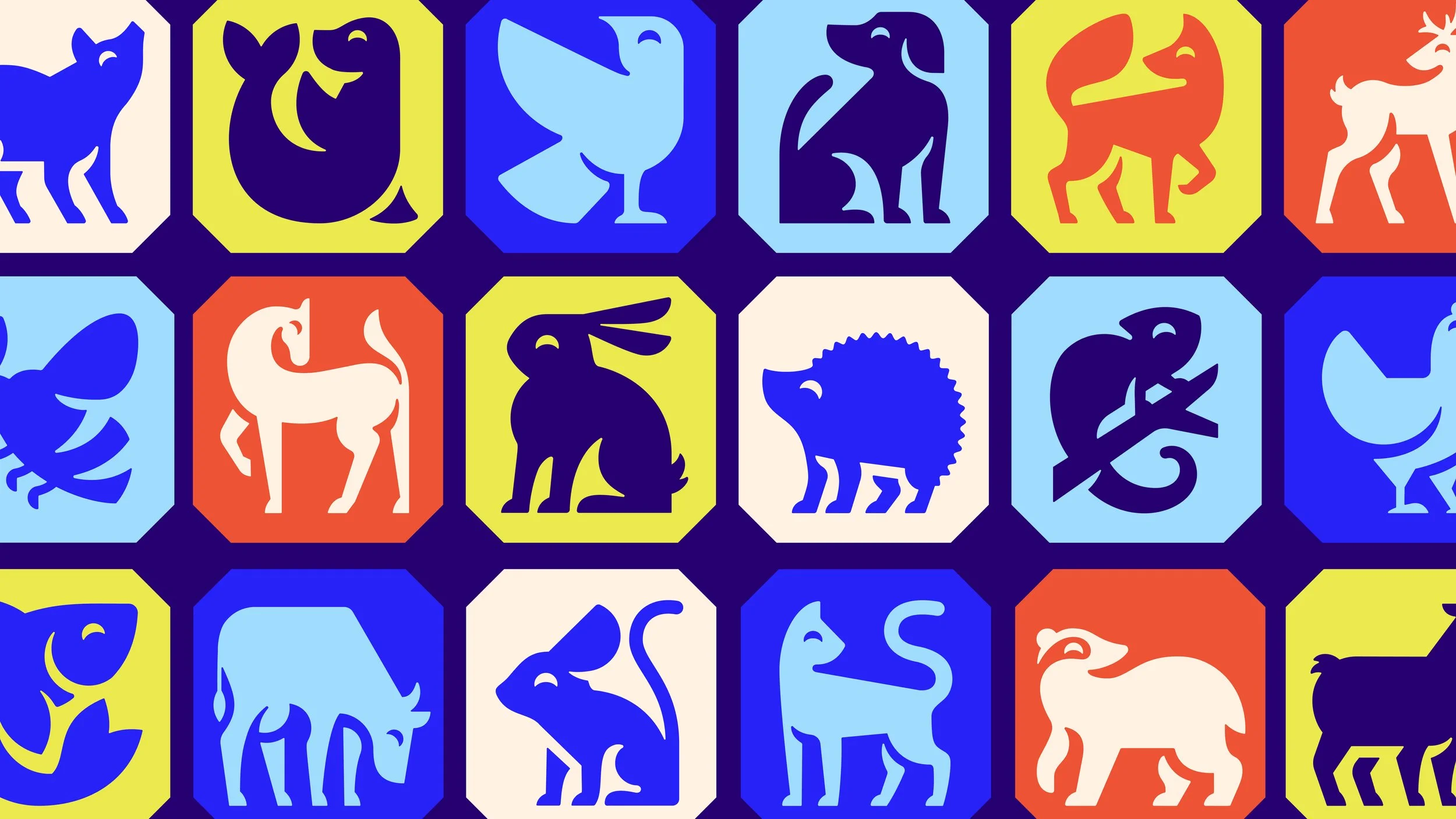 RSPCA_04.jpg