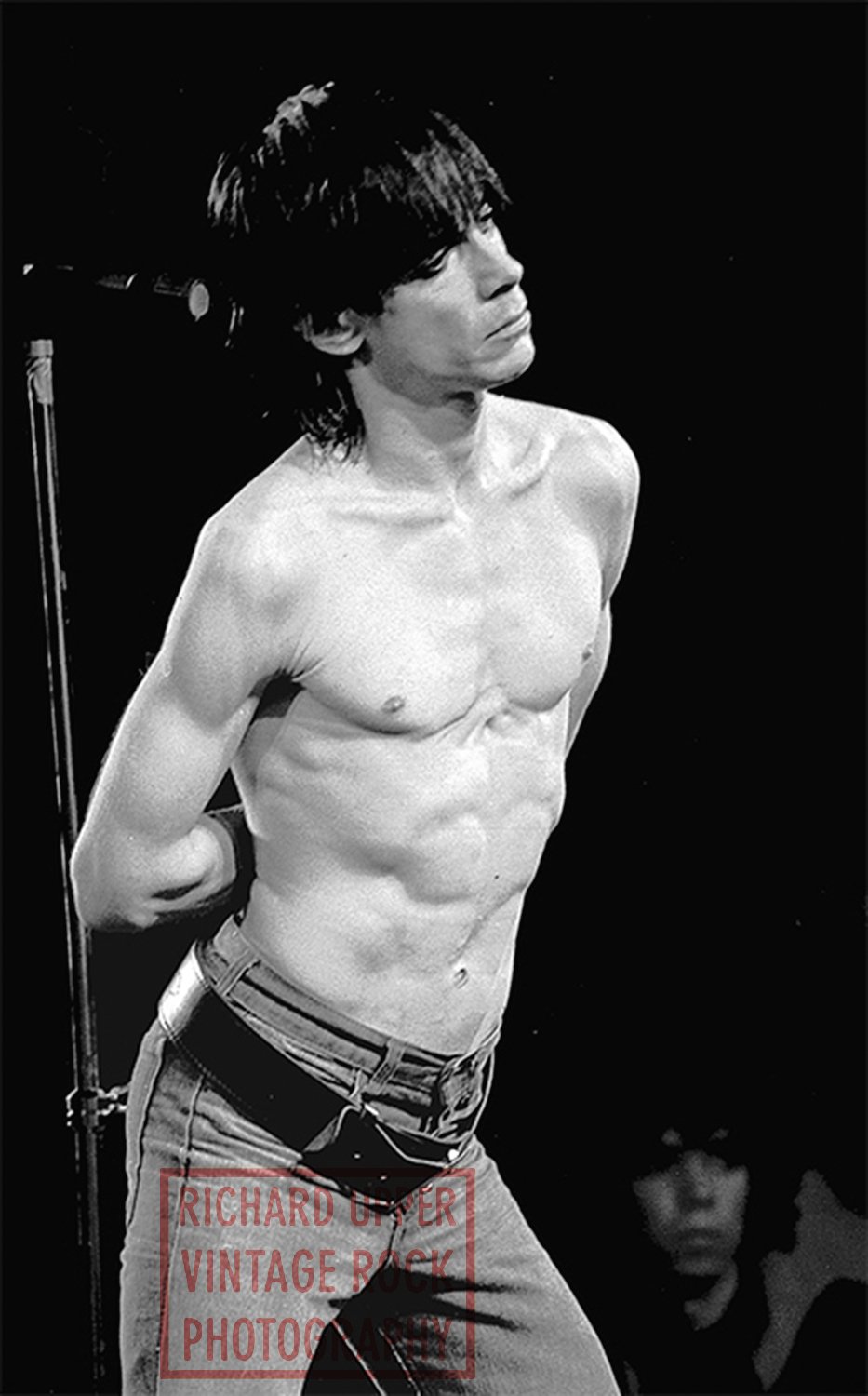Iggy Pop, 1977, Santa Monica Civic, Los Angeles, CA