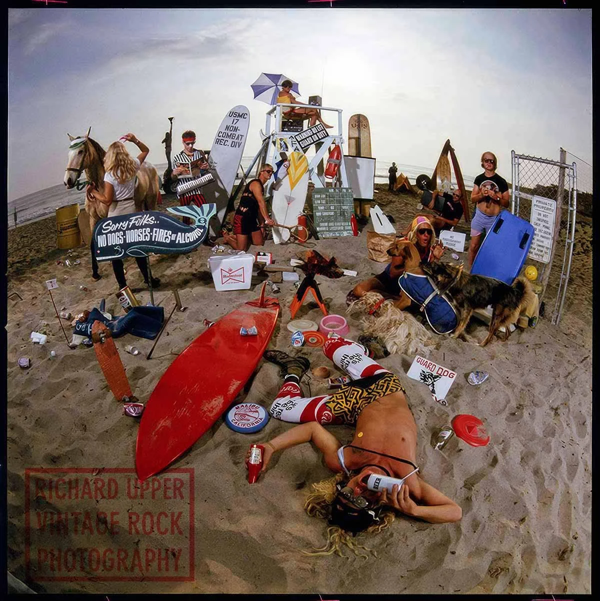 A chaotic beach scene with a lifeguard station, people, dogs, and various signs, including a 