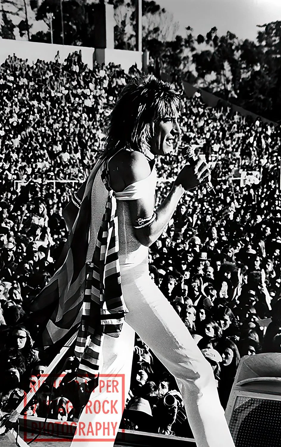 A woman singing or speaking into a microphone on stage during a concert or public event with a large crowd in the background.