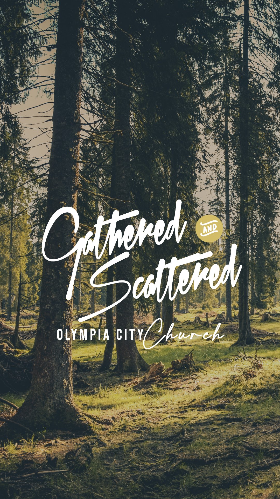 Gathered and Scattered.jpg