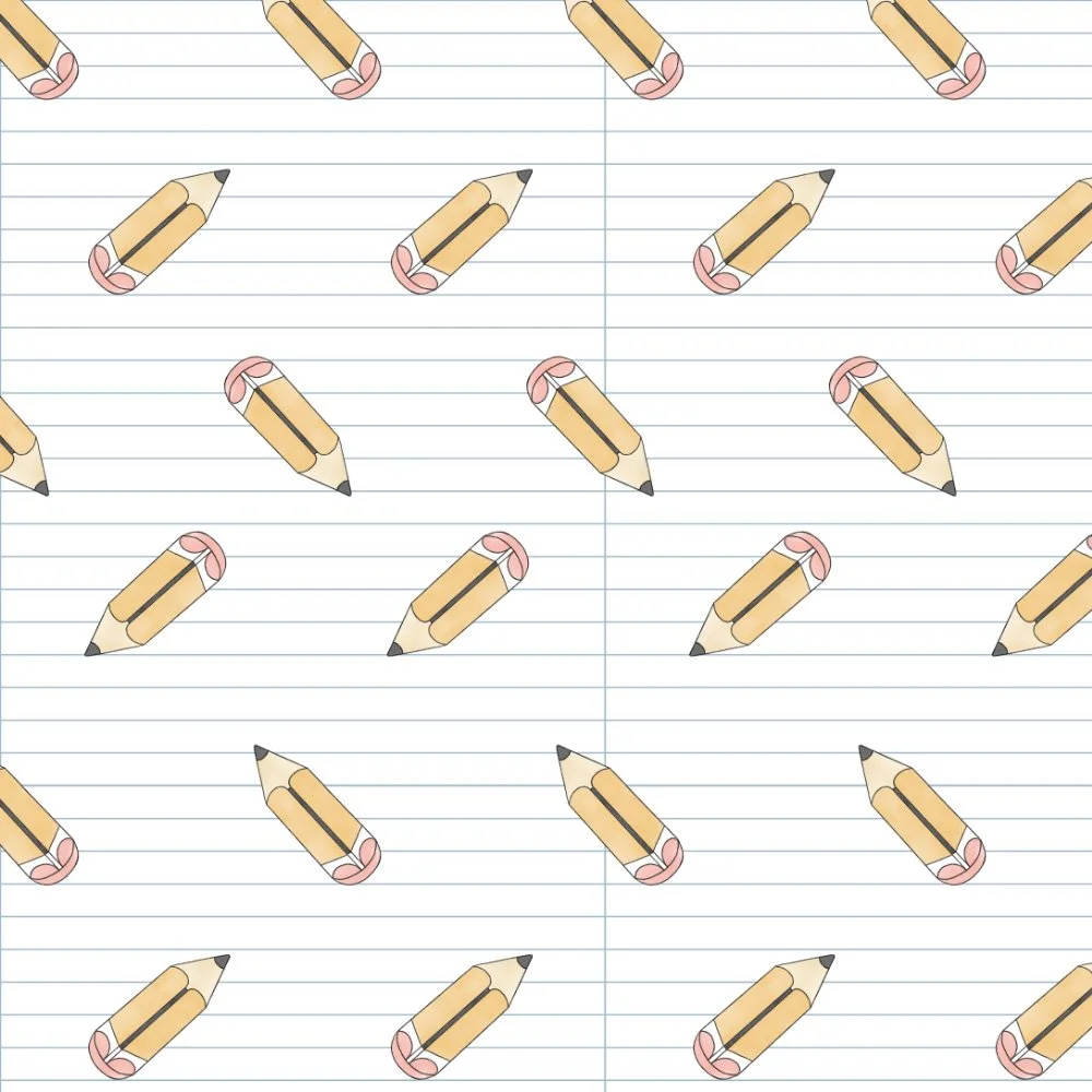 FV24A29 - PENCILS WHITE