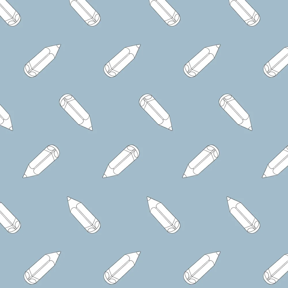 FV24A30 - PENCILS BLUE