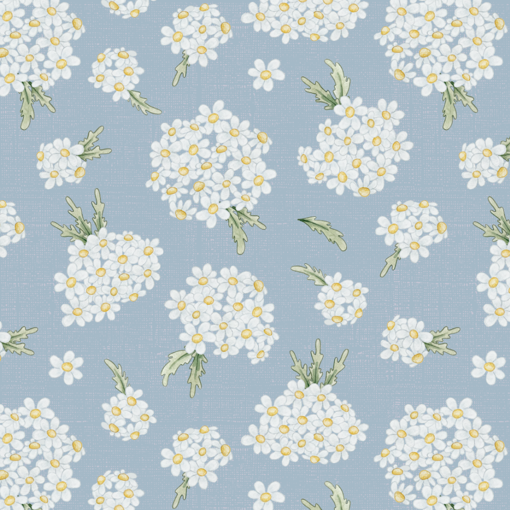 FV25A29 - DAISIES BOUQUET