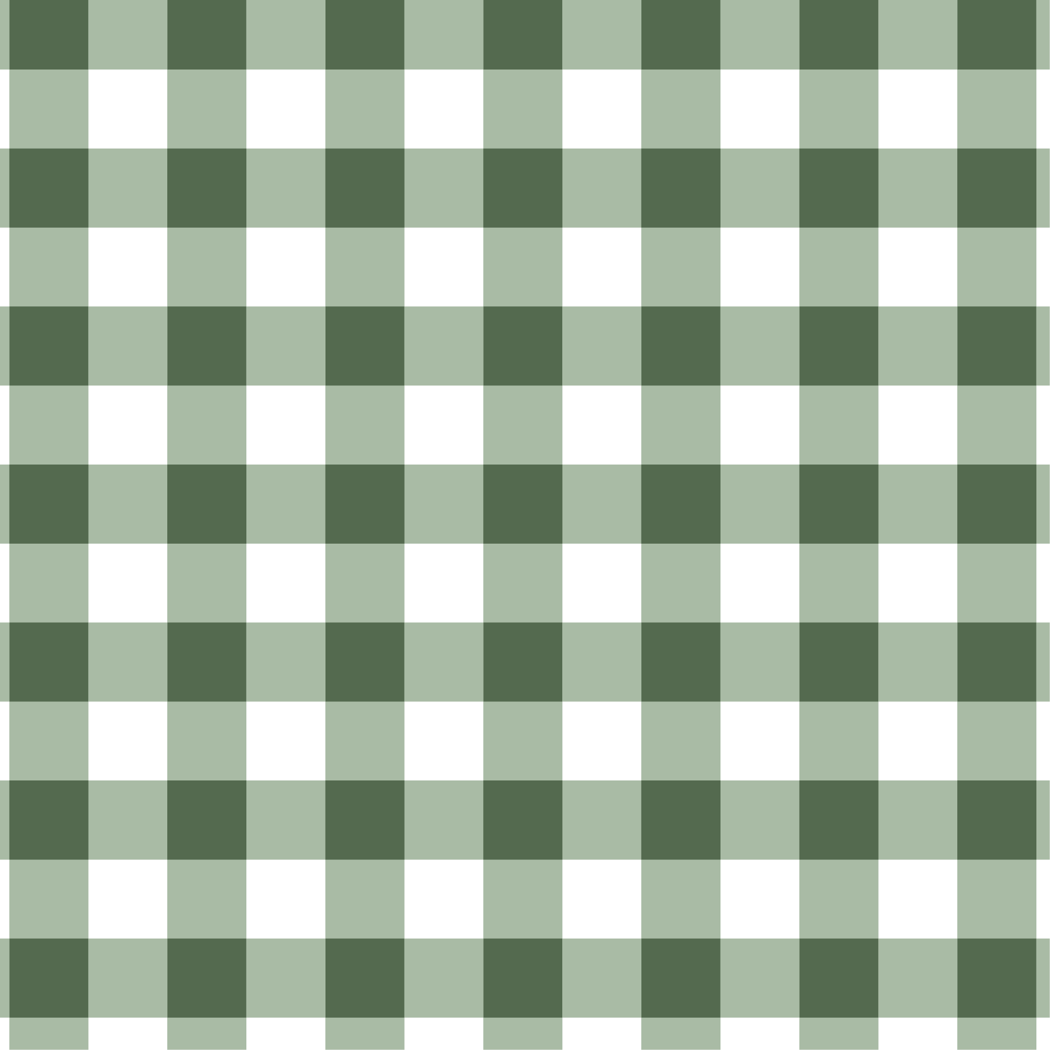 FV24A58 - GINGHAM
