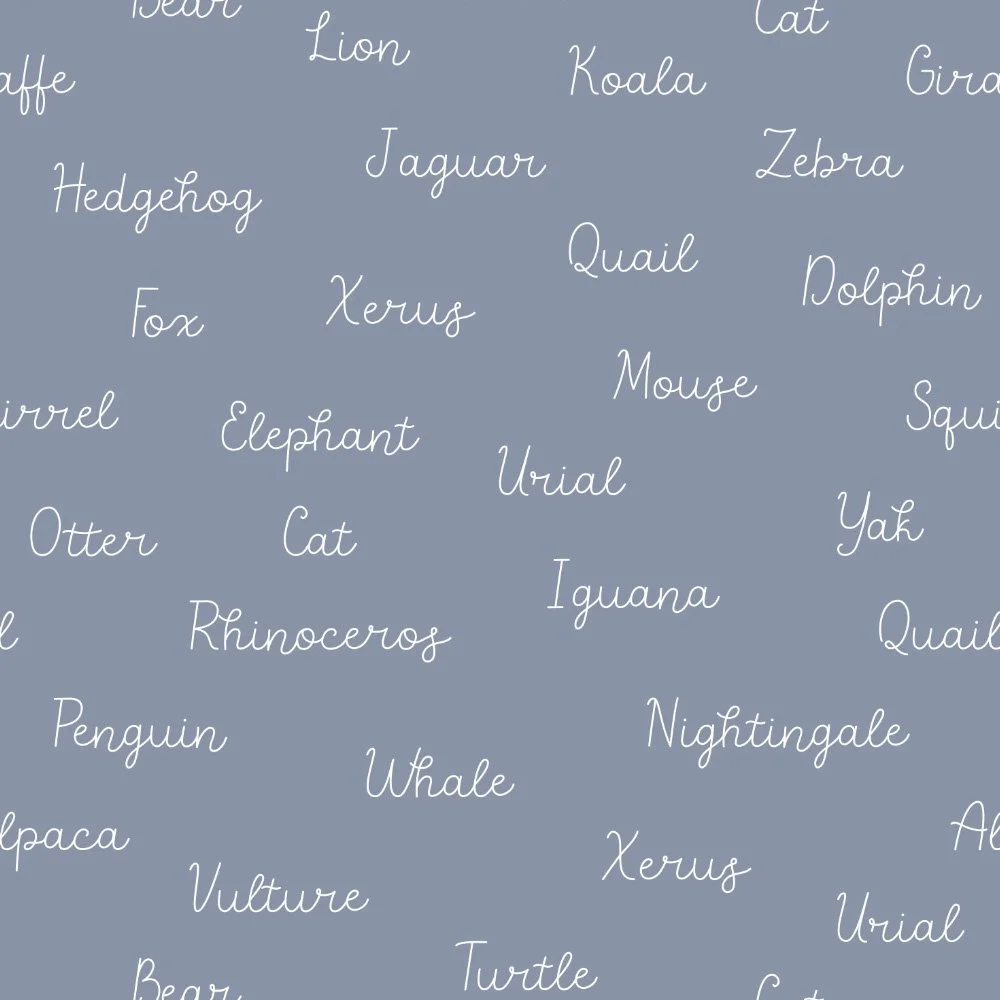 FV24A28 - ANIMAL NAMES BLUE