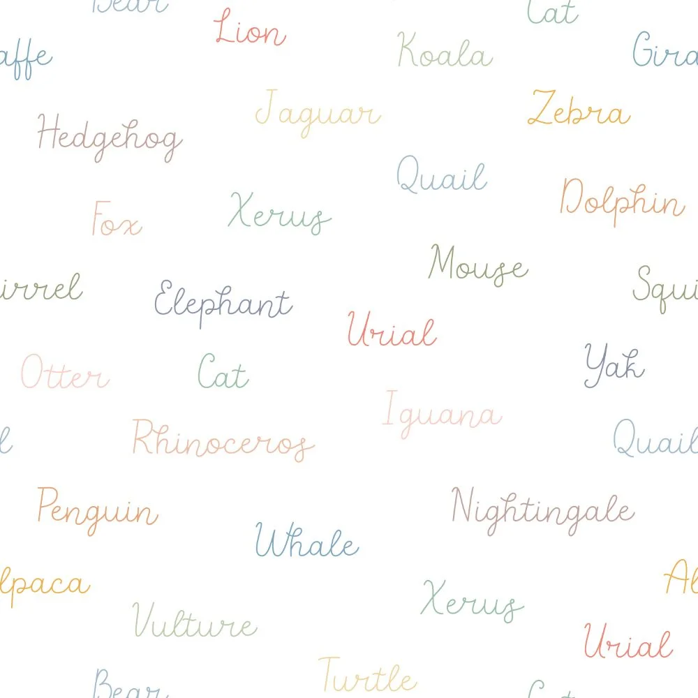 FV24A27 - ANIMAL NAMES WHITE