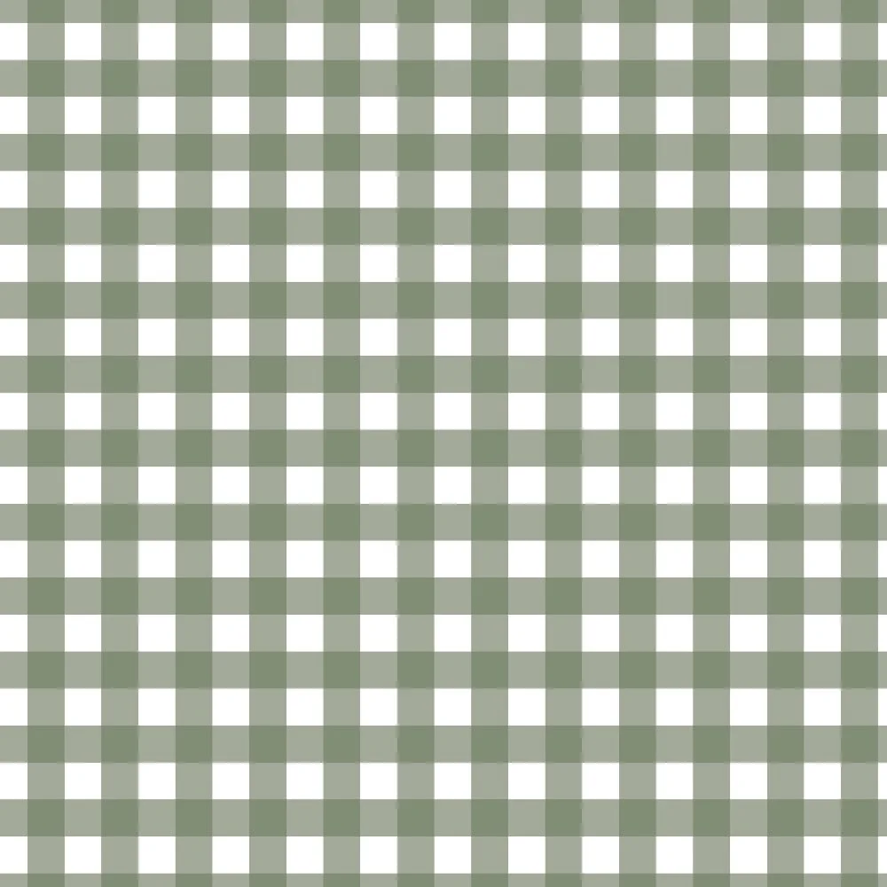 FV24A9 - SAGE GREEN GINGHAM