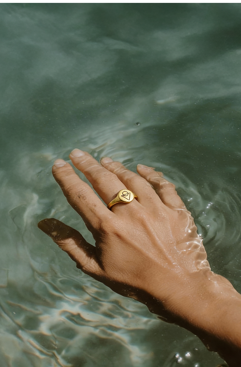 portfolio campaign 1.png