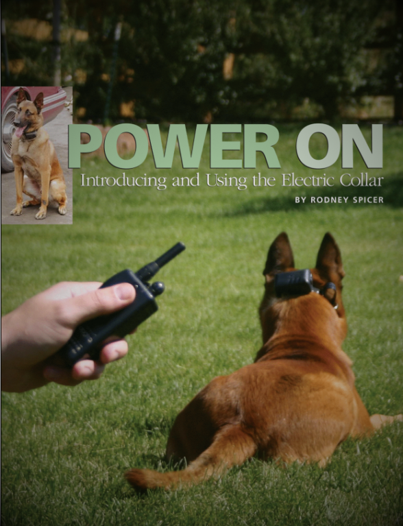POWER ON - Introducing and Using the Electric Collar