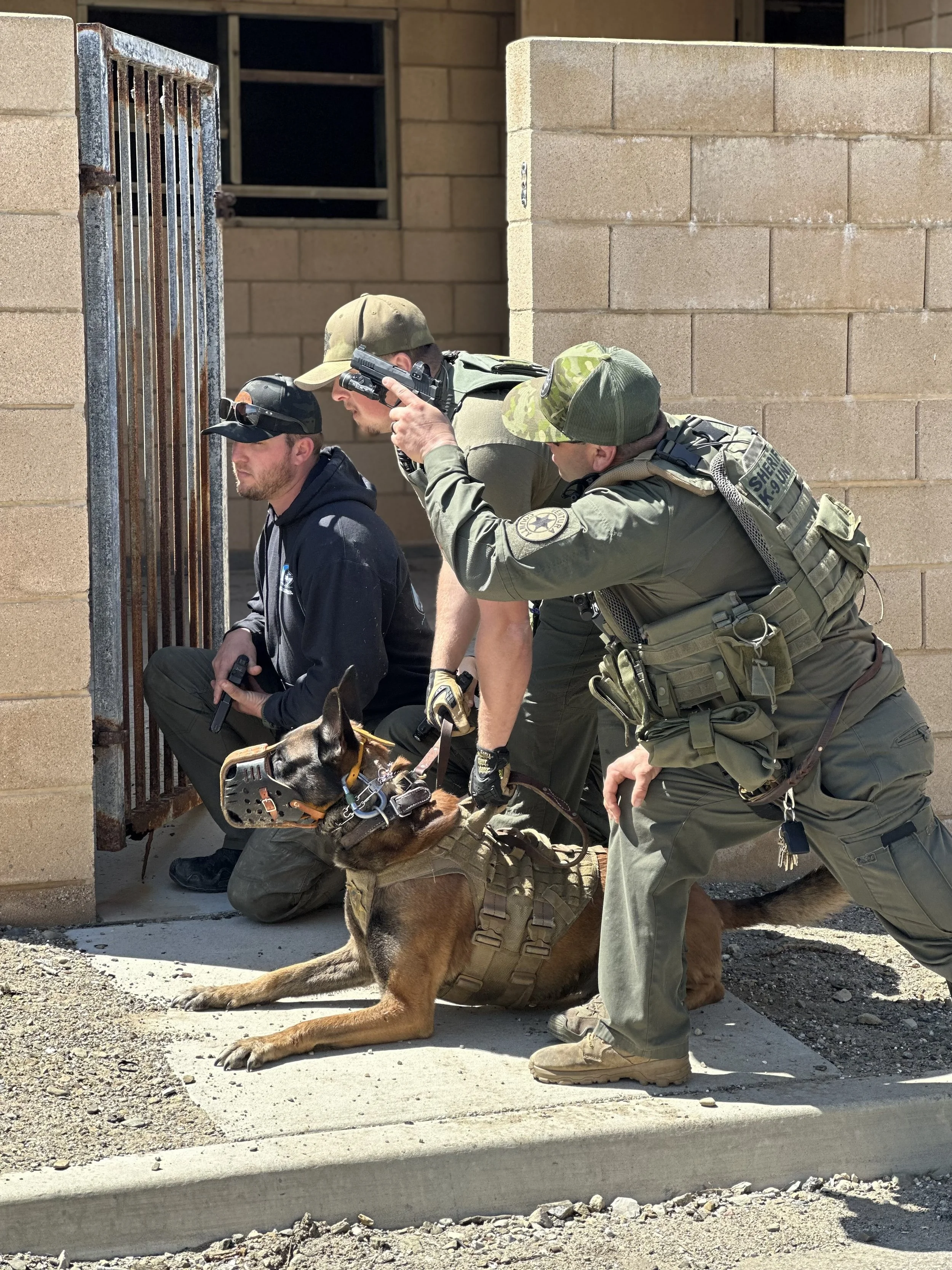 A police officer and a rescue dog sit and kneel behind a brick wall with an open window. Two other officers are positioned nearby, one pointing a gun. The scene appears to be part of a tactical or rescue operation. Ongoing training at Gold Coast K9.