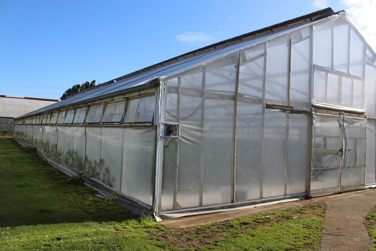 A greenhouse with plastic panels and metal framing on a grassy area under a blue sky.